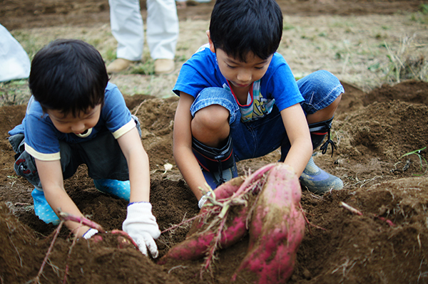 えどちゃんファーム東葛西イメージ