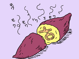 イメージ：古田イモ