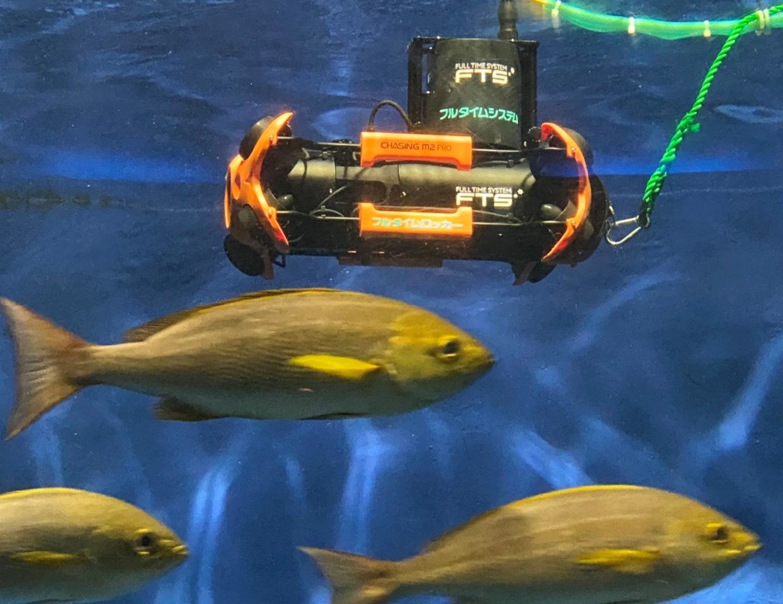 魚の群れを撮影する水中ドローン